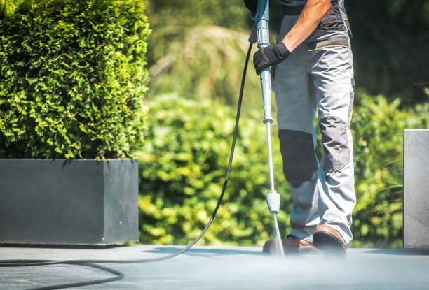 Best Animal Enclosure Cleaning  in Waikoloa Village, HI